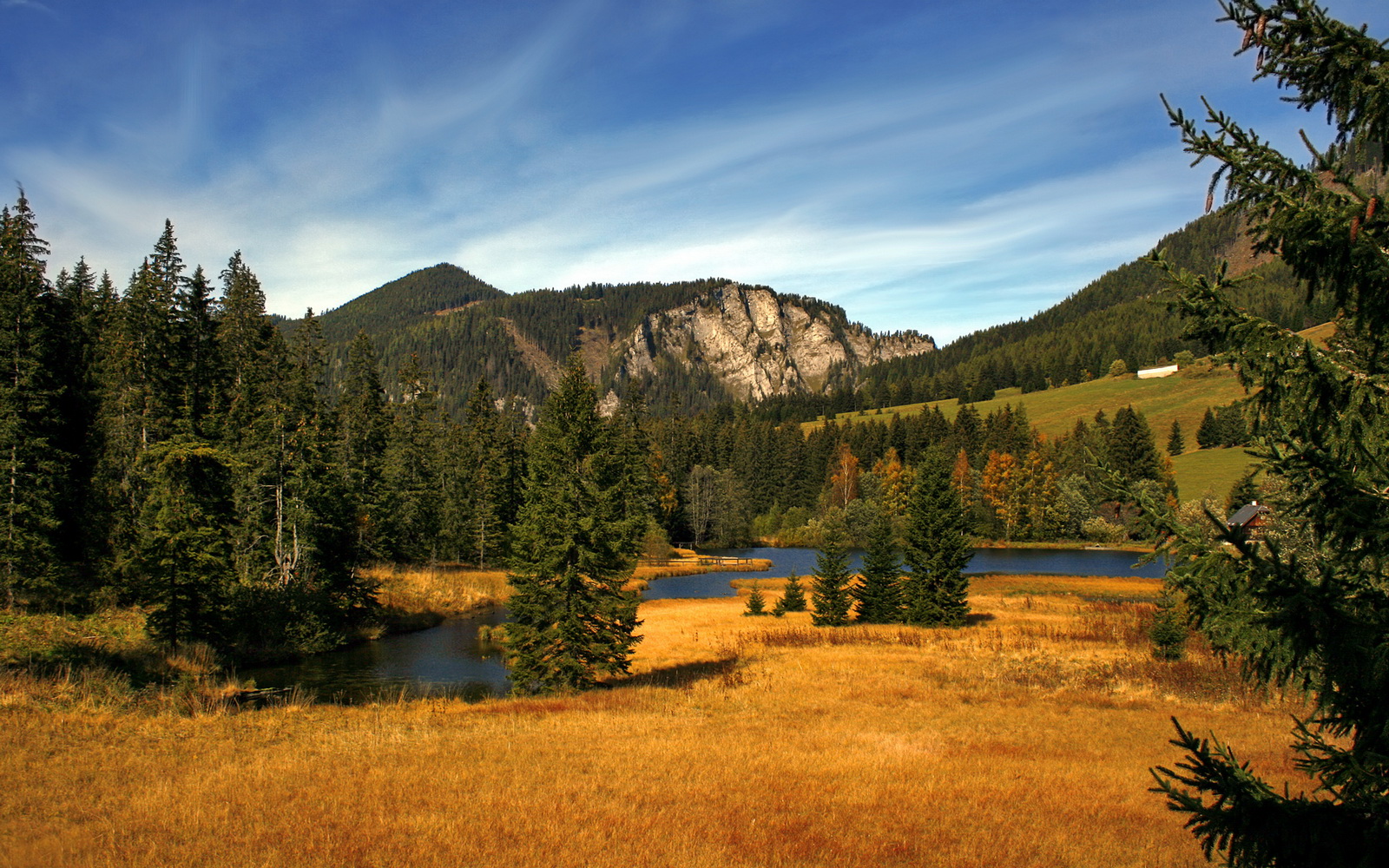 世界杯首次使用AI辅助判罚：越位判定更加智能化，世界杯越位规则